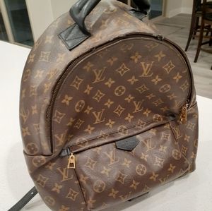 Luis Vuitton Monogram Palm Springs Backpack MM